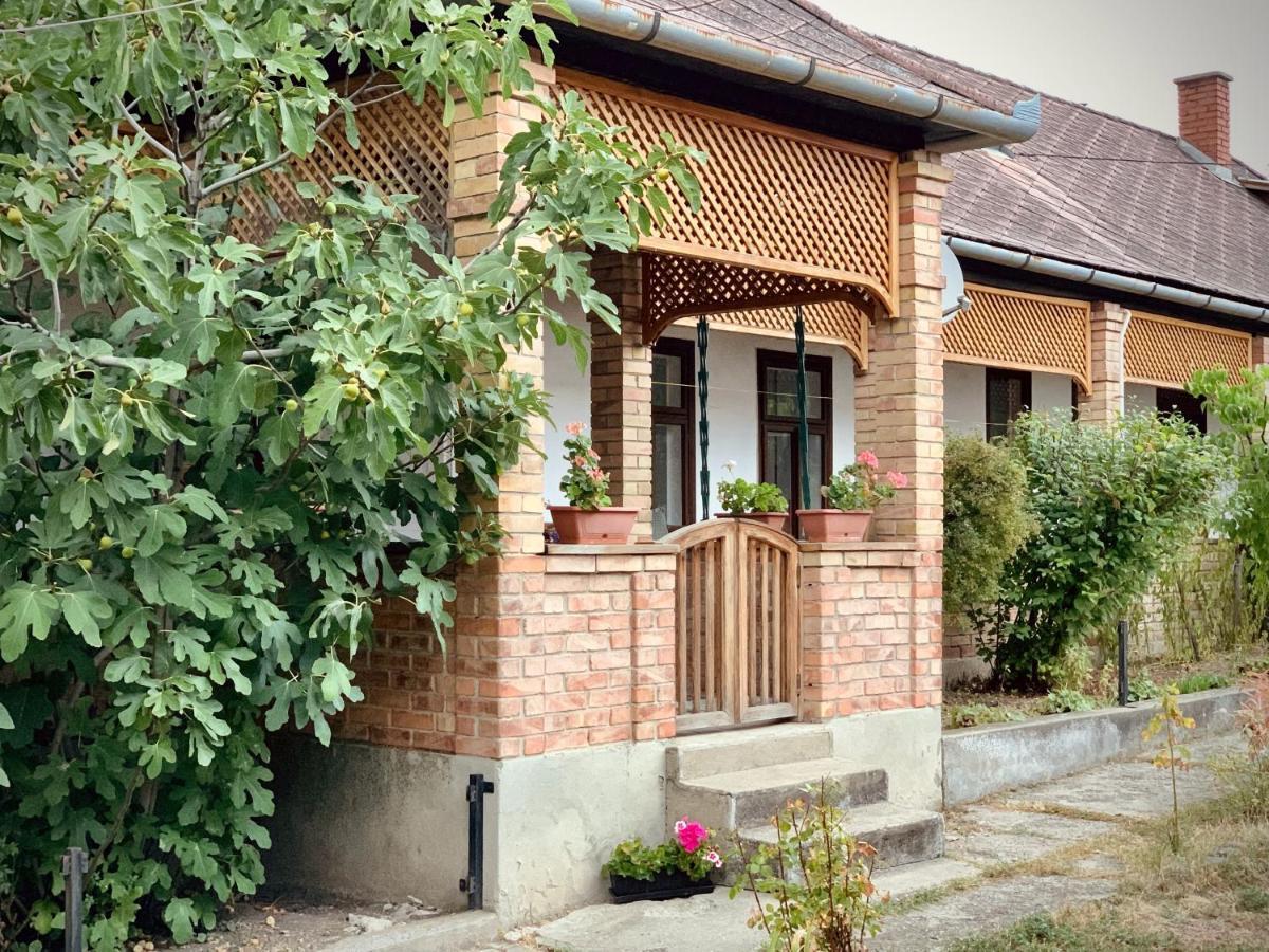 Henrietta Vendeghaz Apartment Domoszlo Exterior photo