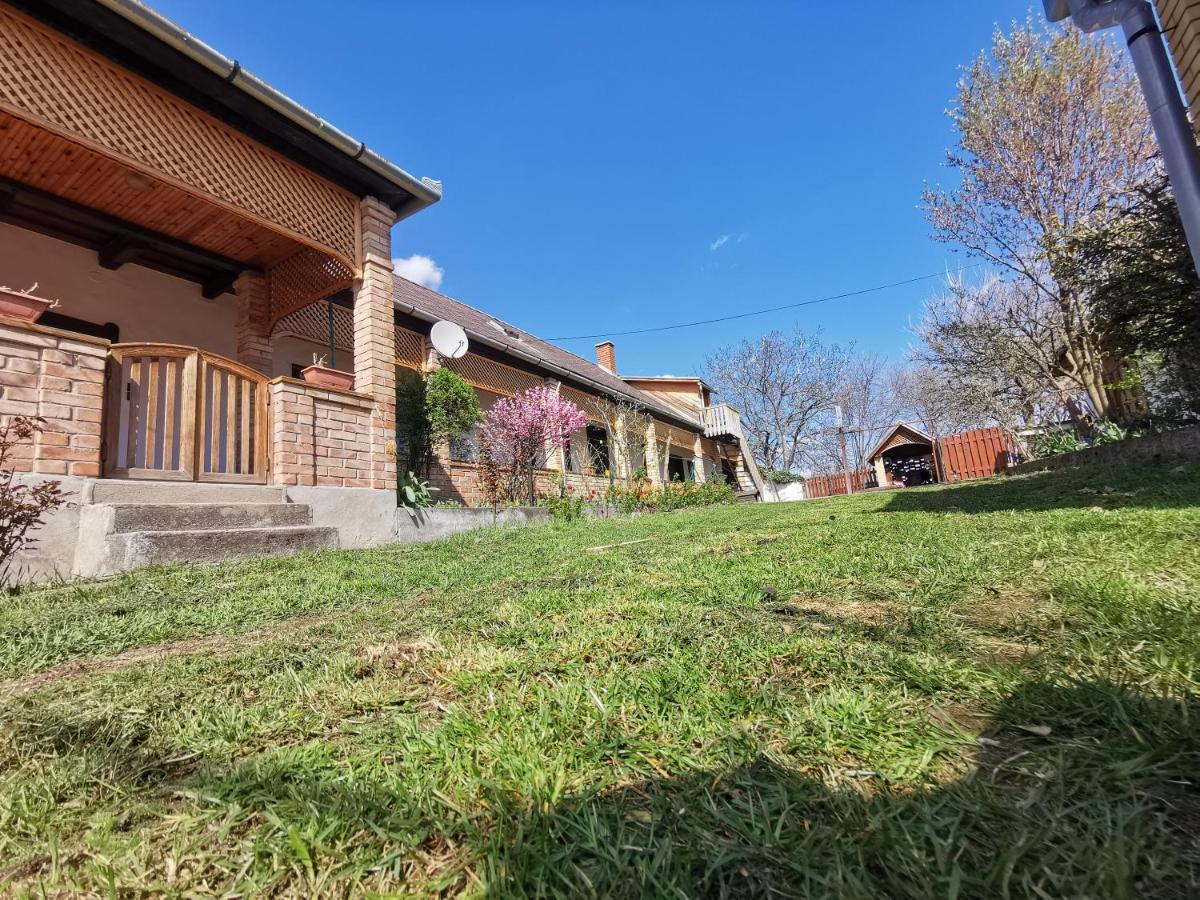 Henrietta Vendeghaz Apartment Domoszlo Exterior photo